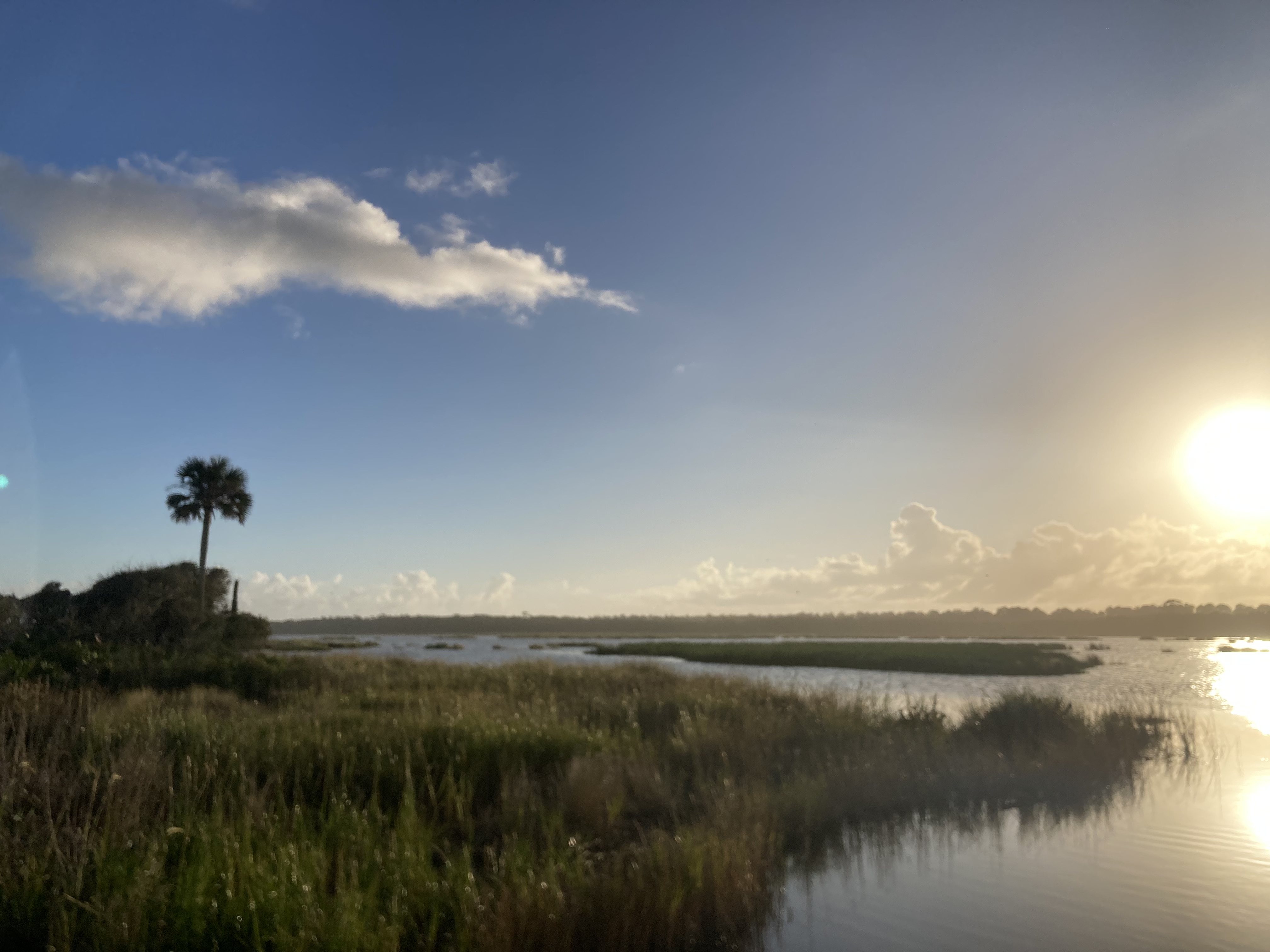 Protect Florida Conservation Lands